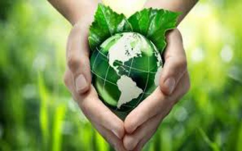 LHQ kêu gọi triển khai 6 hành động bảo vệ môi trường